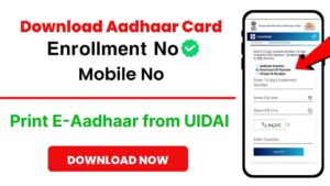 Download Aadhaar Card in Mobile